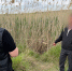 Пьяная ссора обернулась убийством: в Советском округе задержан мужчина, спрятавший тело убитого знакомого - StavropolNews.Ru