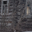 background - Вологда-поиск