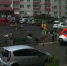 Погоня стаи собак за ребенком по детской площадке попала на видео в Воронеже - Bloknot-Voronezh.Ru