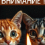 Отключение электроэнергии 26 мая - Администрация г. Бердск