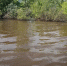 водоем - ИА Удмуртия