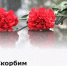 На своих страницах в социальных сетях Петр Тришечкин, глава Морозовского района, выразил соболезнования родным и близким жертв теракта в Луганской народной республике. - Морозовский район