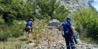 Альпинист сорвался с 15-метровой высоты под Ялтой - Вести Крым