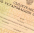 Суд лишил таджика фиктивного отцовства над брянским ребенком - Телеканал Городской
