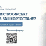 В Башкортостане открылся Центр кадровой стажировки для молодежи, обучающейся в других городах | ГТРК «Башкортостан» - ГТРК Башкортостан