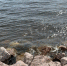 В Кронштадте лодка с людьми пошла ко дну - Neva.Today