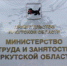 Работодателям Иркутской области в рамках нацпроекта «Кадры» компенсируют затраты на зарплату сотрудникам - Сибирские новости