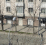 Фитопатолог обследует "мёртвые" деревья на улице Ленина в Южно-Сахалинске - News.Astv.Ru