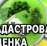Дополнительная информация к извещению о государственной кадастровой оценке 2027. - Администрация Ребрихинского района