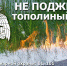 Не поджигай тополиный пух - Администрация г. Рубцовск