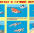 Безопасность на водных объектах - Бердюжье Медиа