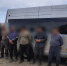 В Оренбуржье в ходе операции «Овощевод» выслали свыше 60 иностранных граждан - Time56.Ru