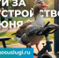 zdKn3qoDXlR9eslZkRnpJpomhsci7-Jrcrl3wnnS6sVL9gKm558QaavuQ9RJyK62JF1BX2VUf7Y-9y73maON6adY (1).jpg - Безенчукский район