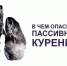 В ЧЕМ ОПАСНОСТЬ ПАССИВНОГО КУРЕНИЯ? - Управление культуры, молодежной политики и спорта