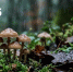 cJOHUjyf-h06cPBQijCv7idhwutMQxIbY-62XqDpnPWqbYDwzOBzPM2LeM7Cne_rwL4lYGbuJiav1PKDpmaKU0SJ - ЗА Новомосковск