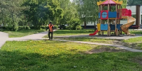 На территории района ведутся работы по покосу травы - Администрация г. Барнаул