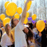 u62iit6utm32wd7ikehjgerwb487c8ub.jpg - Gorod3466.Ru