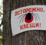 Об эпидемиологической ситуации по инфекциям, передающимся клещами - Варнавинский муниципальный округ