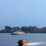 img_20260521_104858 - NeruLife.Ru