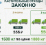 Осталась неделя действия льготных условий приёма строительных и растительных отходов на астраханском полигоне - Ast-News.Ru