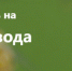 В Федеральной государственной информационной системе прослеживаемости пестицидов и агрохимикатов «Сатурн» запущена новая подсистема «Портал пчеловода» - Комсомольский район