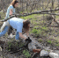 Фото: официальный сайт правительства Мурманской области - НИА Мурманск