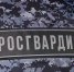 Напавшую на росгвардейцев жительницу Балакова наказали лишением свободы - Четвертая Власть
