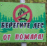 В Карелии не будут отменять особый противопожарный режим из-за периода дождей - StolicaOnego.Ru