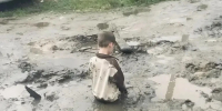 Ребёнок чуть не утонул в огромной луже посреди дороги! - ТК ТОЛЬЯТТИ 24