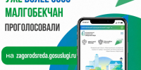 Осталось 18 дней до окончания Всероссийского онлайн-голосования по федеральному проекту «Формирование комфортной городской среды» национального проекта «Инфраструктура для жизни». - Администрация г. Малгобек