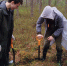 agmnqsvy05.jpg - Лесотехнический университет