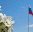 Туманы ночью и потепление днём: прогноз погоды в Амурской области - gtrkamur.ru - ГТРК Амур