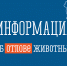 Информация об отловленных животных - Администрация г. Апатиты