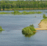 Вода вернулась: эксперты оценили успех проекта по рекультивации Волго-Ахтубинской поймы - Riac34.Ru