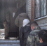 Более 600 человек проверили в Свободном: трое не встали на воинский учёт, пятерых иностранцев выдворят из страны - gtrkamur.ru - ГТРК Амур