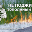 Не поджигай тополиный пух!. - Новичихинский район