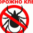 С приходом весеннего тепла начался сезон клещей. - Моздокский район