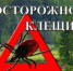 Памятка о клещах - Город Советская Гавань