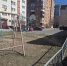img - ЛДПР