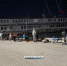 Керчане жалуются: морская рыба отдает мазутом - Kerch.Com.Ru