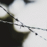 image - GazetaRB.Ru