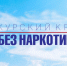 «КУРСКИЙ КРАЙ – БЕЗ НАРКОТИКОВ!». - Администрация МО Курчатов