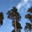 26 pogoda - ГТРК