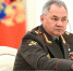 Шойгу заявил, что НАТО на учениях отрабатывает удары по Союзному государству - ИА Общественная служба новостей