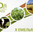 ВолНЦ РАН приглашает к участию в X Емельяновских чтениях, приуроченных к 105-летию Северо-Западного научно-исследовательского института молочного и лугопастбищного хозяйства имени А.С. Емельянова - ВолНЦ РАН