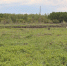 ef786d9f-74c7-441b-8ede-5732ef9b11a8 (1) - Novosti-Saratova.Ru