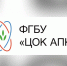 Эксперты проверили 983 тонны экспортной моркови - РИА Кабардино-Балкария