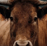 Фото: Avelino Calvar Martinez / Pixabay - Мой район
