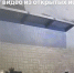 Астраханку, своровавшую саженцы у частной клиники, вычислили по записи с камер - Punkt-a.info