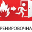 Минобразования регулярно отрабатывает действия в экстренных ситуациях - Правительство ЛНР